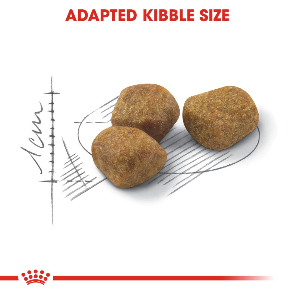 Royal Canin Adult Indoor 7+