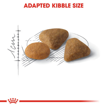 Royal Canin Adult Exigent Savour Sensation