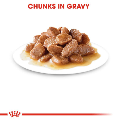 Royal Canin Adult Instinctive in Gravy