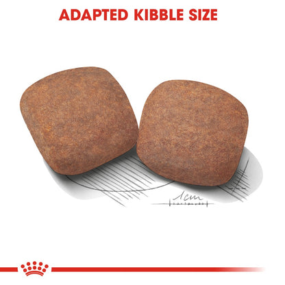 Royal Canin Giant Adult