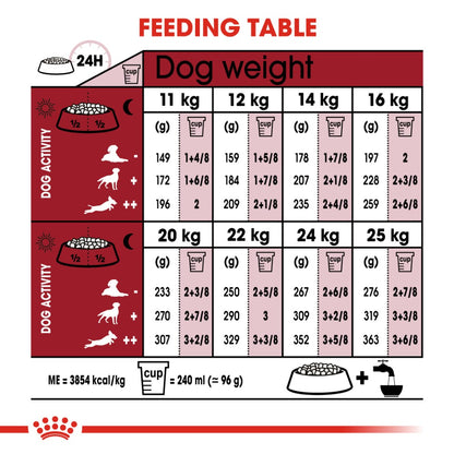 Royal Canin Medium 7+ Years