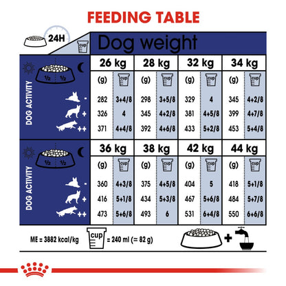 Royal Canin Maxi Ageing 8+ Years