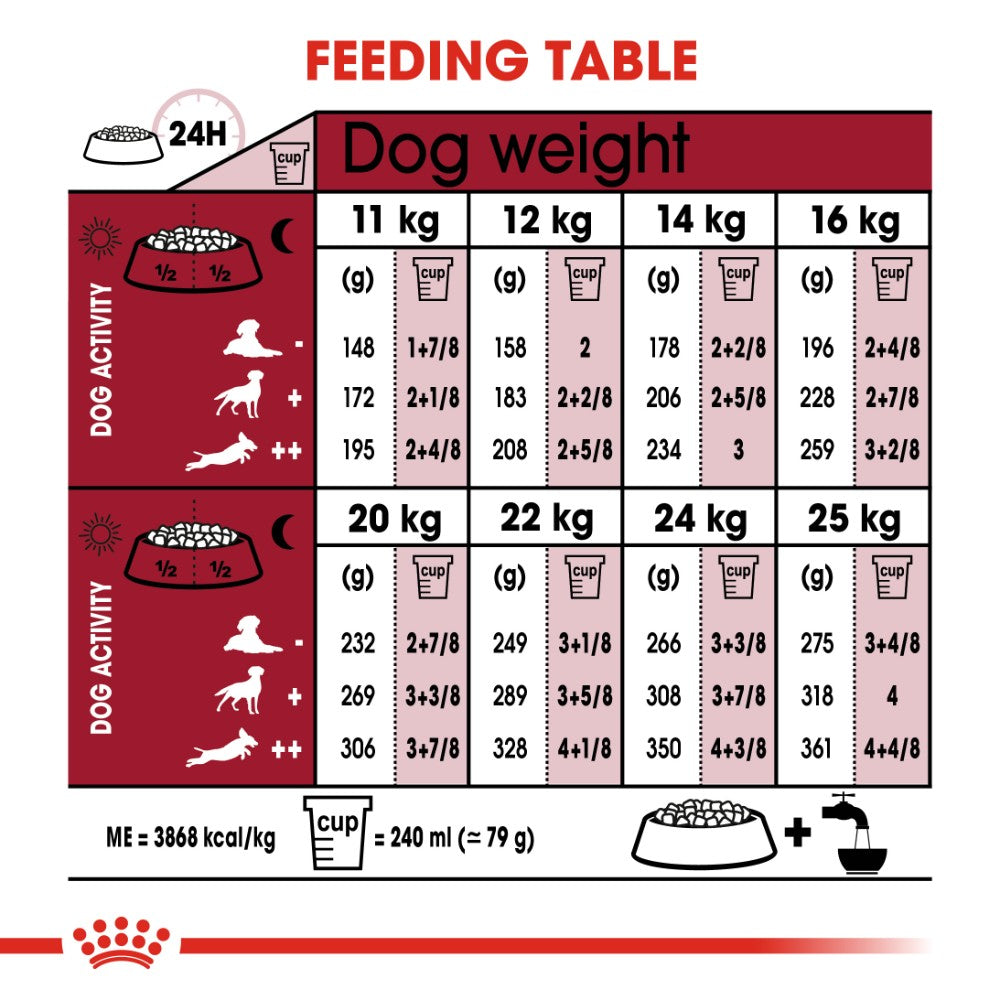 Royal Canin Medium Ageing 10+ Years