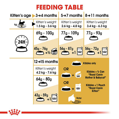 Royal Canin Maine Coon Kitten