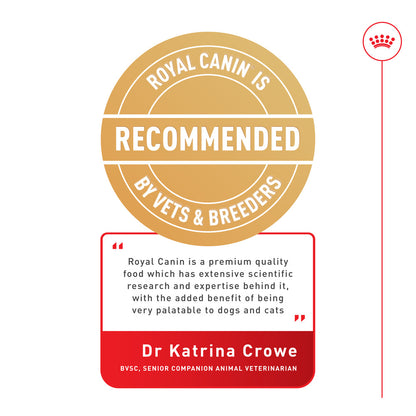 Royal Canin Labrador Adult 5+