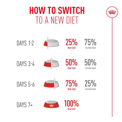 Royal Canin Ageing 11+