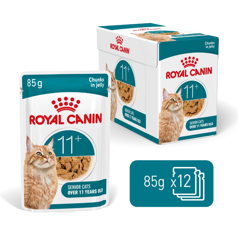 Royal Canin Ageing 11+ in Jelly