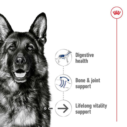 Royal Canin Maxi Ageing Adult Loaf Cans