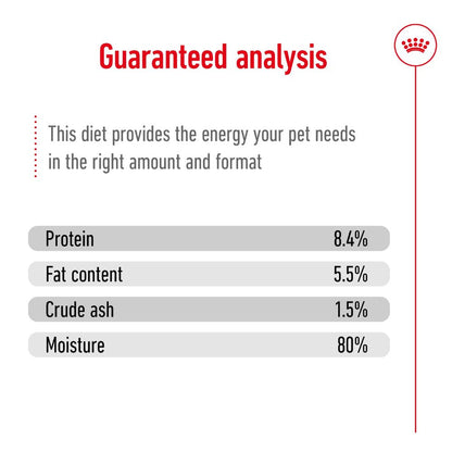 Royal Canin Mini Ageing Adult Loaf Cans