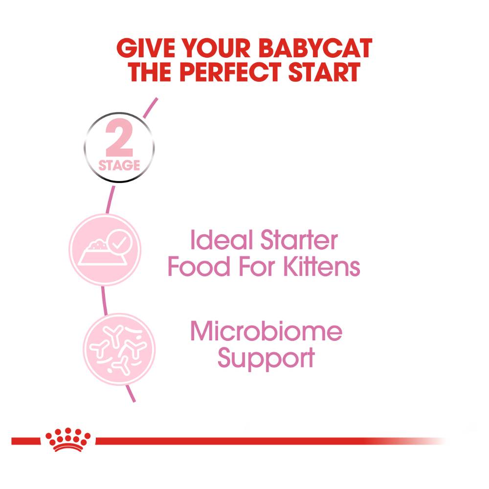 Royal Canin Mother and Babycat Mousse Cans