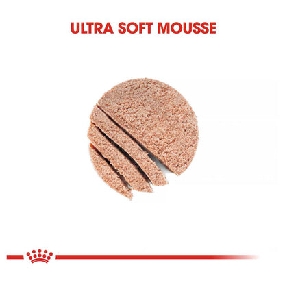 Royal Canin Mother and Babycat Mousse Cans
