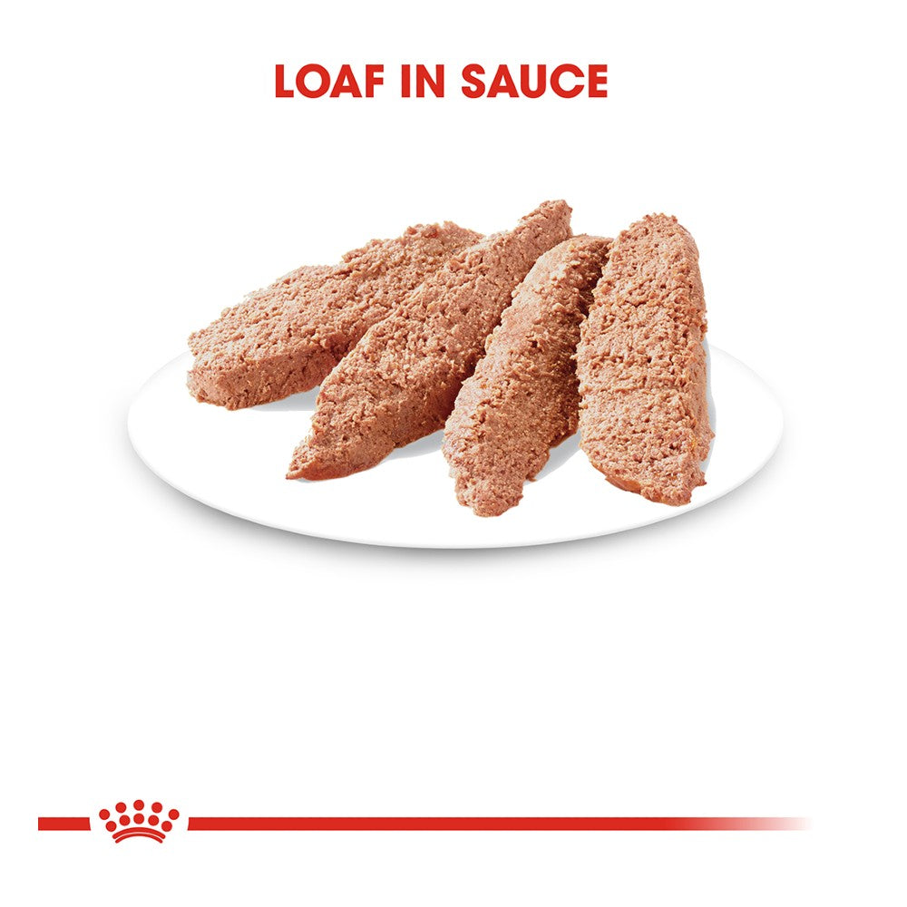 Royal Canin Adult Instinctive Loaf