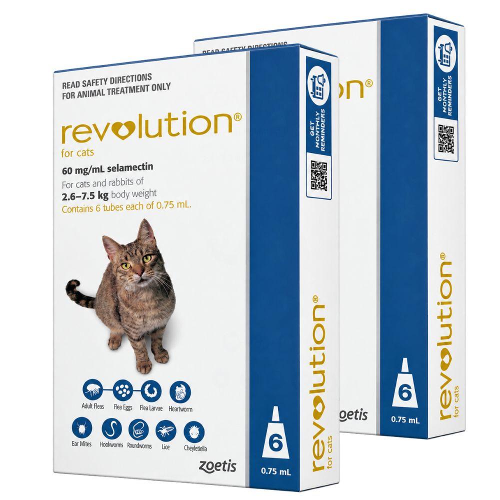 Revolution Blue