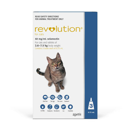 Revolution Blue