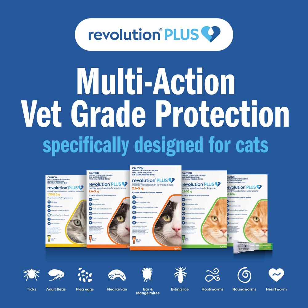Revolution Plus Large Cat 5.1-10kg