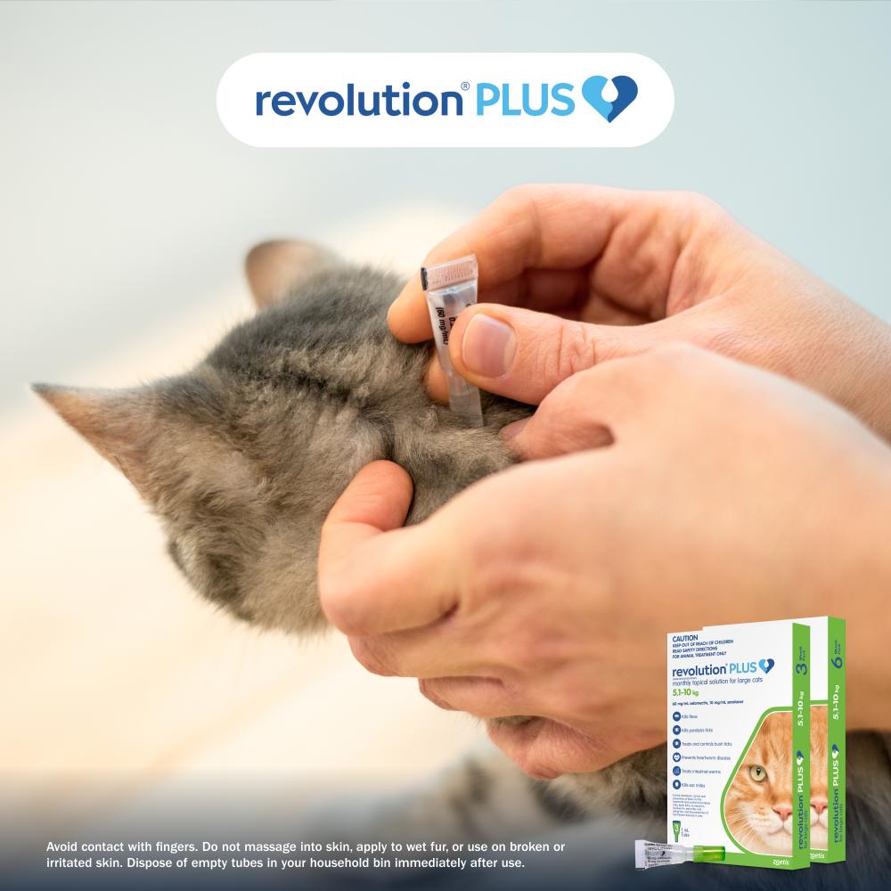 Revolution Plus Large Cat 5.1-10kg