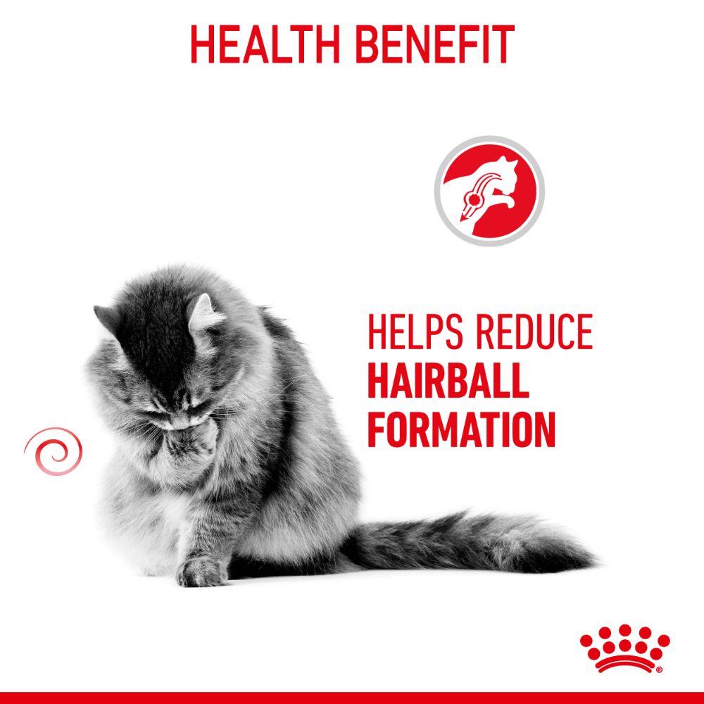 Royal Canin Adult Hairball Care