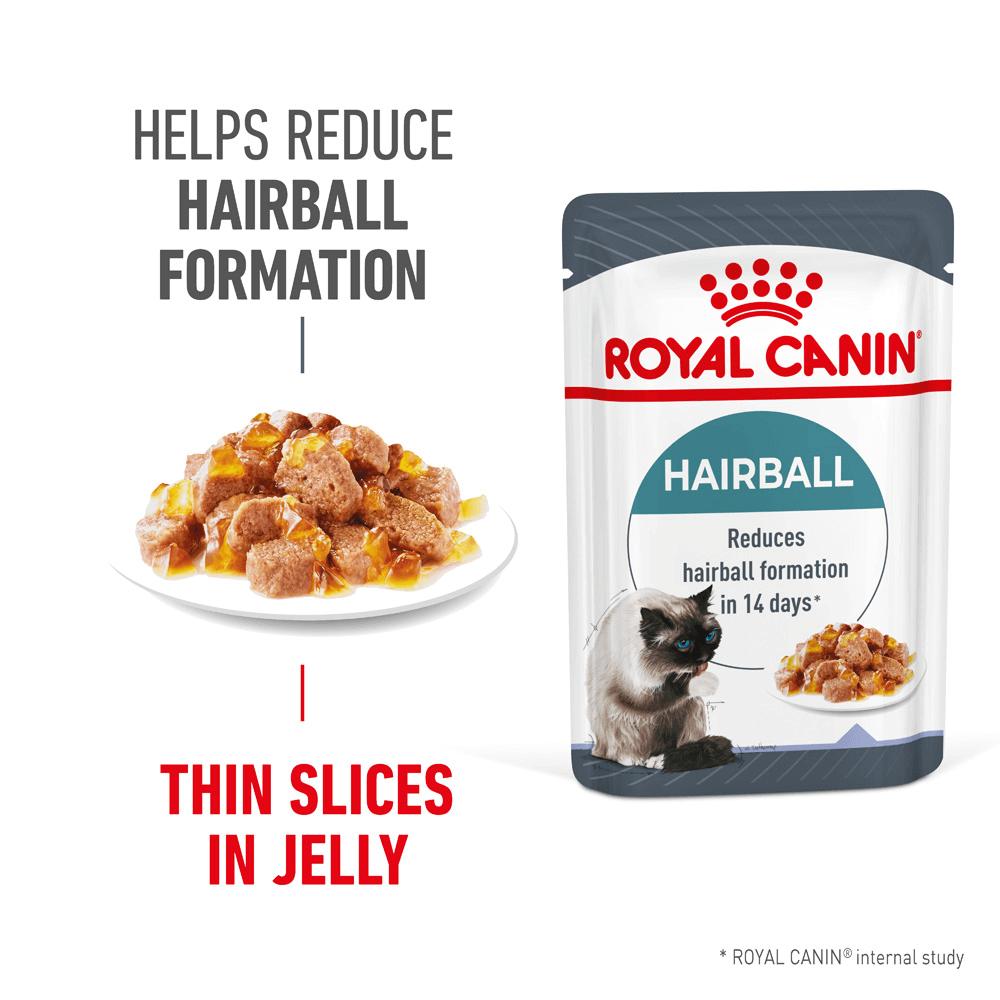 Royal Canin Adult Hairball Care in Jelly