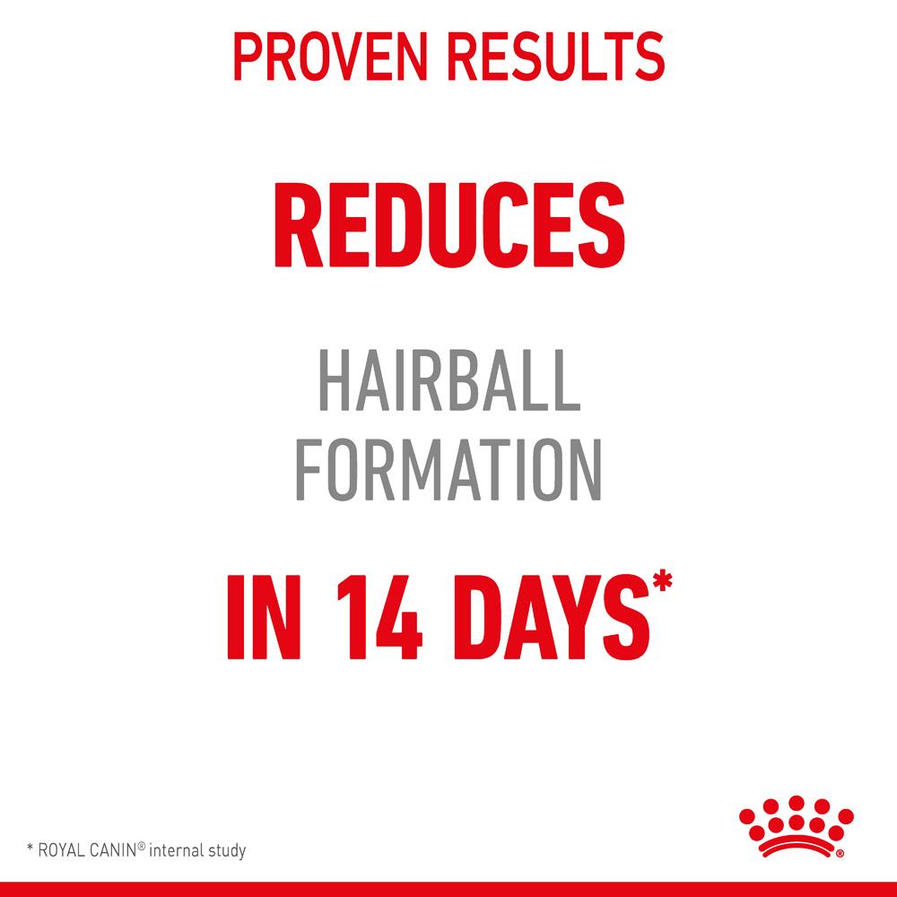 Royal Canin Adult Hairball Care in Jelly