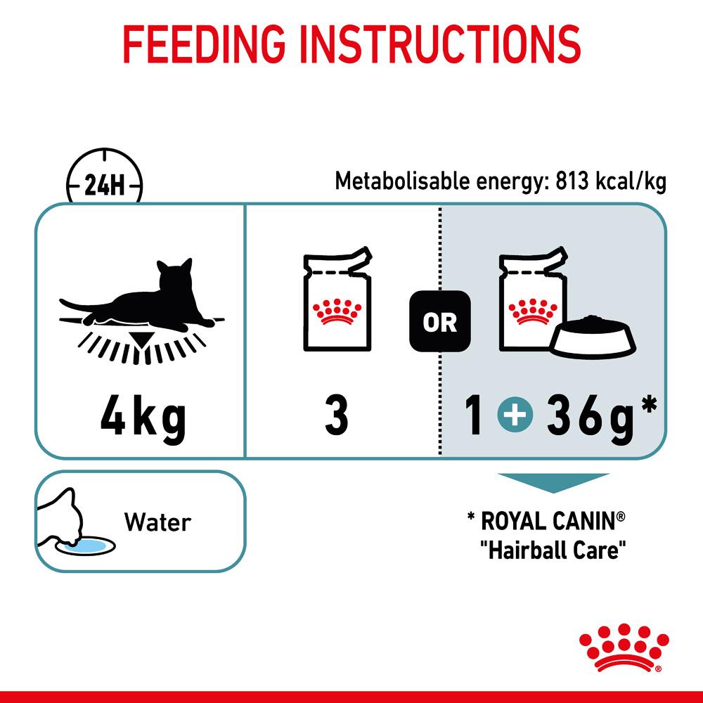 Royal Canin Adult Hairball Care in Jelly