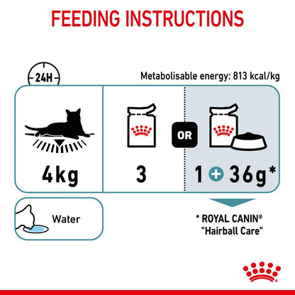 Royal Canin Adult Hairball Care in Jelly