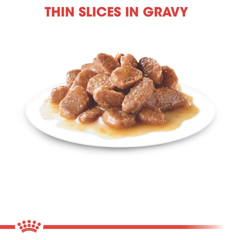 Royal Canin Adult Sterilised in Gravy