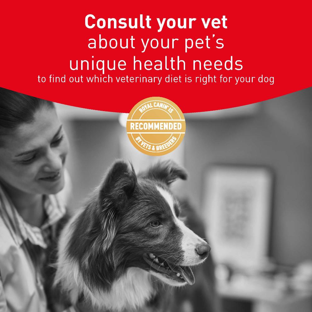 Royal Canin Veterinary Diet Canine Glycobalance Cans