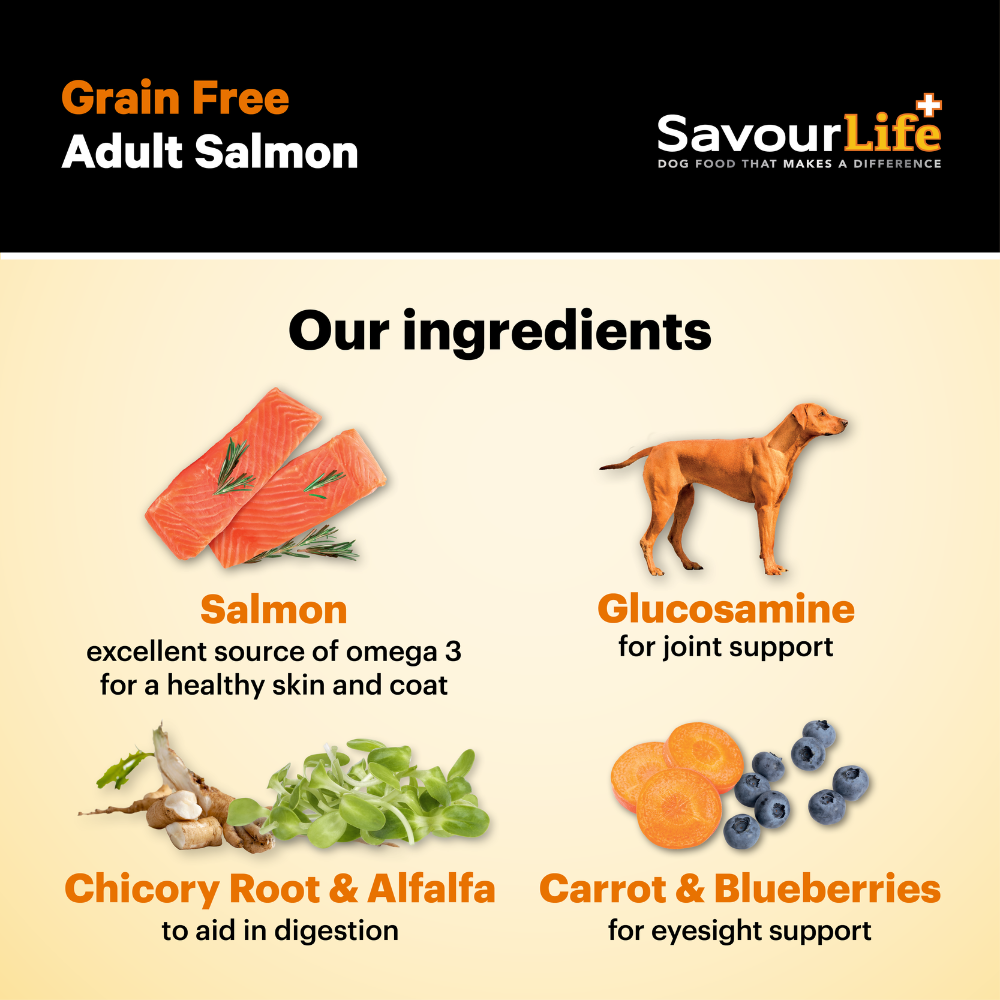 SavourLife Grain Free Adult Salmon Dog Food