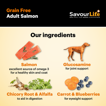 SavourLife Grain Free Adult Salmon Dog Food