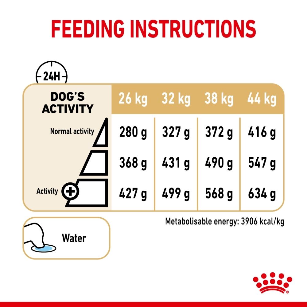 Royal Canin German Shepherd Adult 5+