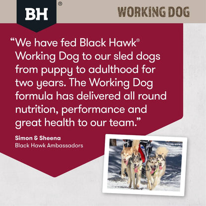 Black Hawk Working Dog