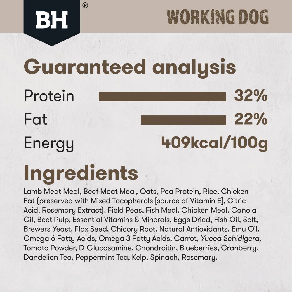 Black Hawk Working Dog