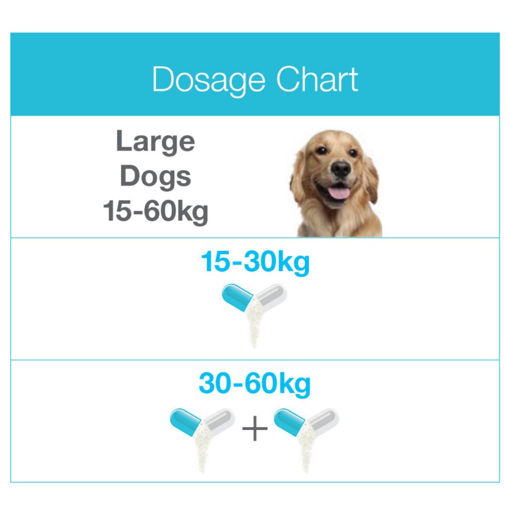 ZYLKENE LARGE DOG 15-60KG 450MG CAPSULES