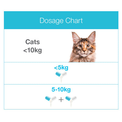 ZYLKENE SMALL DOG AND CAT UNDER 10KG 75MG CAPSULES