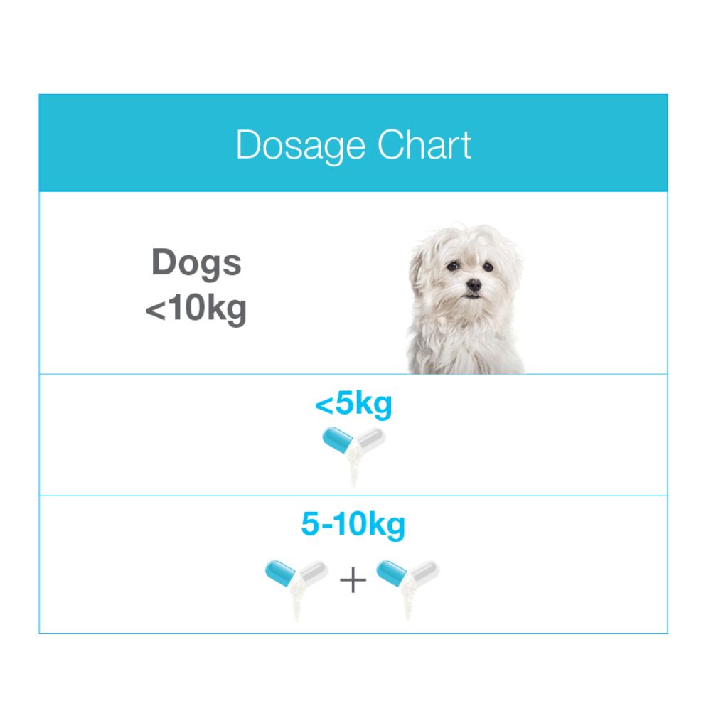 ZYLKENE SMALL DOG AND CAT UNDER 10KG 75MG CAPSULES