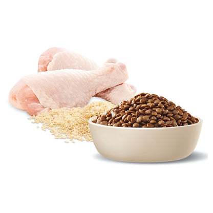 Advance Cat Adult Chicken