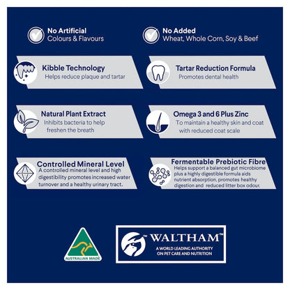 Advance Cat Adult Dental Care