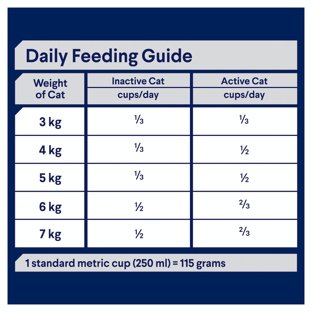 Advance Cat Adult Ocean Fish
