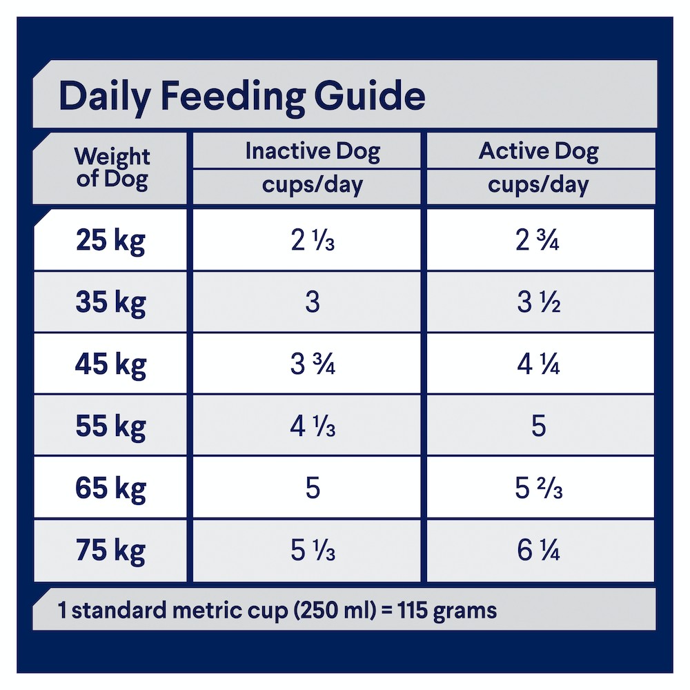 Advance Adult Large Breed Healthy Ageing