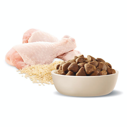 Advance Adult Large Breed Healthy Ageing