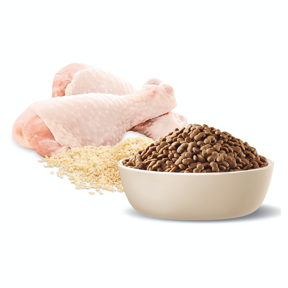 Advance Adult Small Breed Healthy Ageing