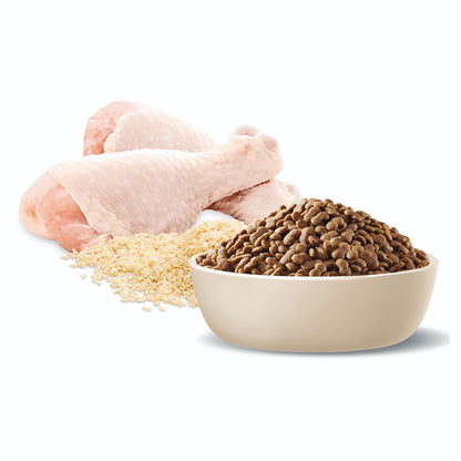 Advance Adult Small Breed Healthy Ageing