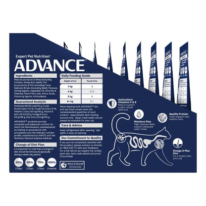 Advance Adult Ocean Fish in Jelly