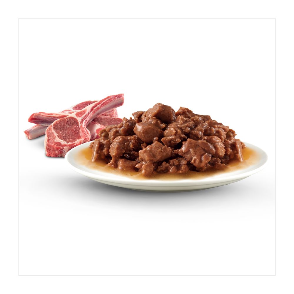 Advance Kitten Lamb in Gravy