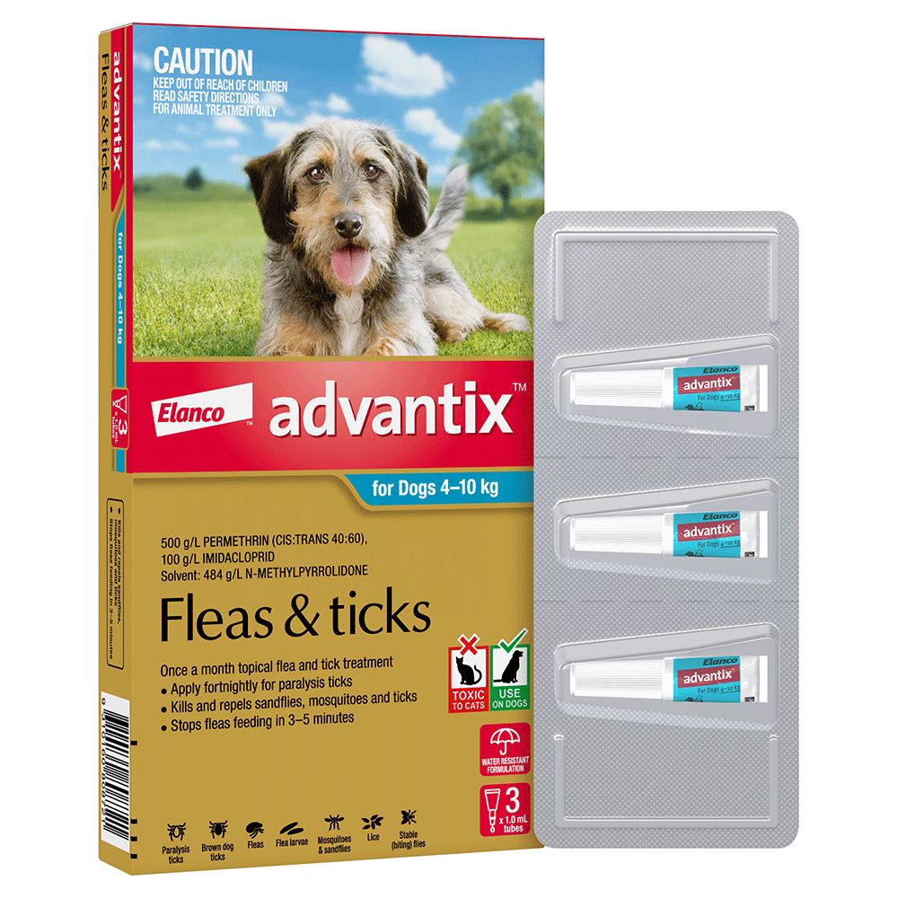 Advantix Medium 4-10kg Teal