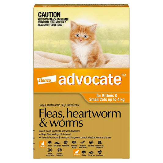 Advocate Small Under 4kg Orange