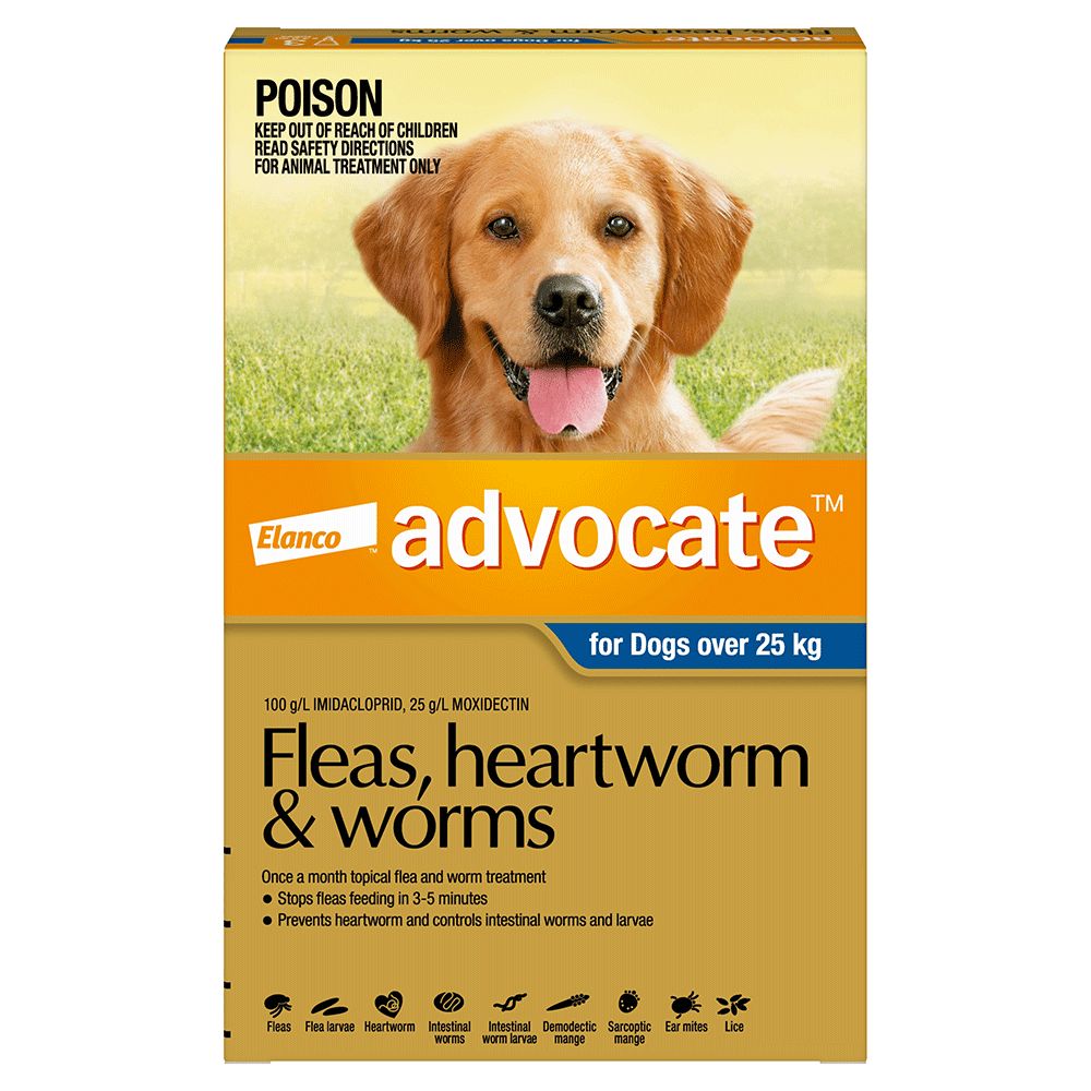 Advocate Extra Large Over 25kg Blue