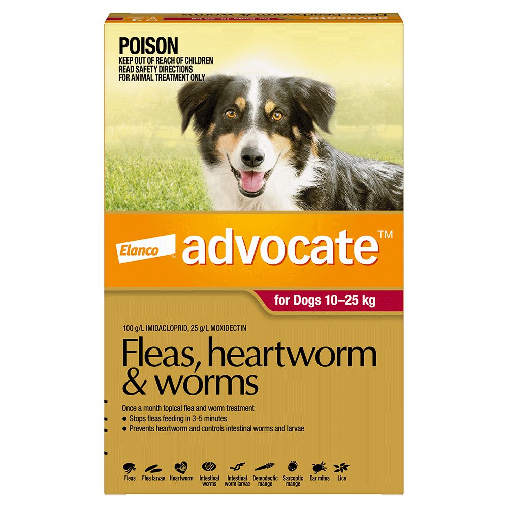 Advocate Large 10-25kg Red