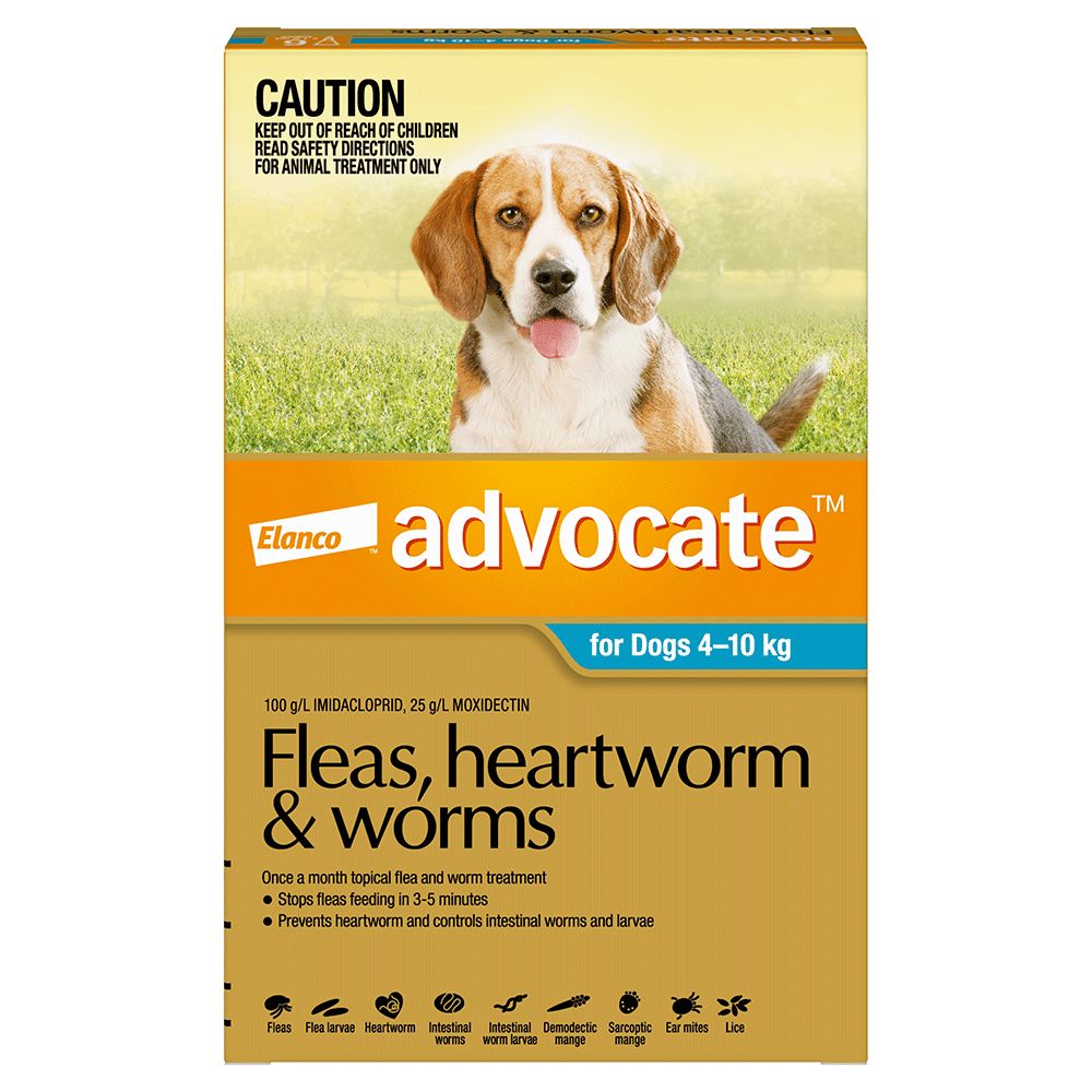 Advocate Medium 4-10kg Teal