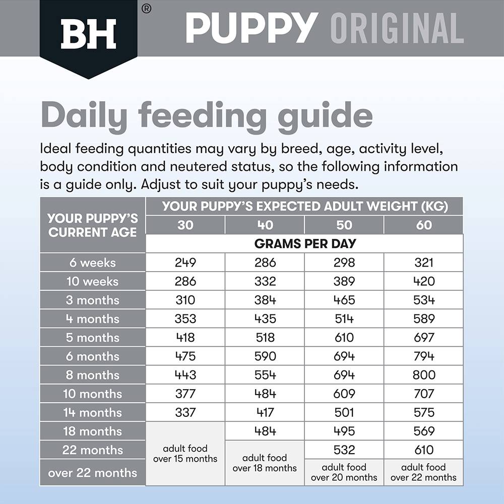 Black Hawk Dog Food Puppy Large Breed Chicken and Rice